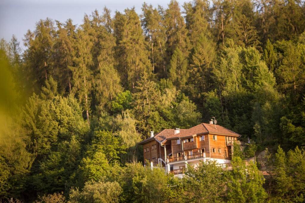 App Schlossblick - Wohnung Hammerwand 2 Umes Eksteriør billede